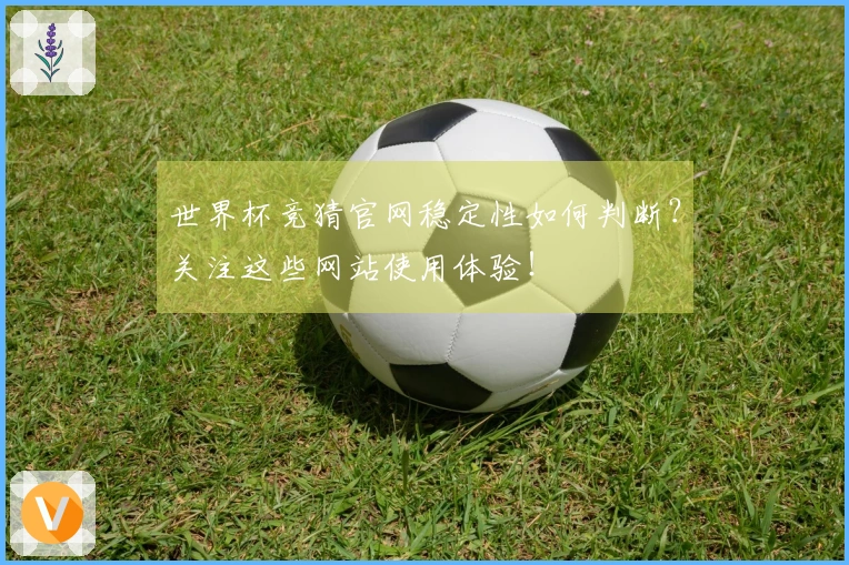 世界杯竞猜官网稳定性如何判断？关注这些网站使用体验！