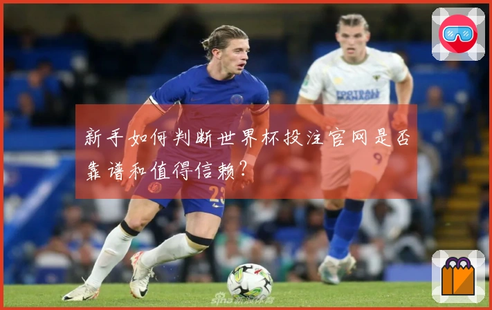 新手如何判断世界杯投注官网是否靠谱和值得信赖？